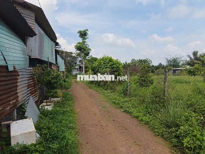 Bán 122m2 Xuân Quế Cẩm Mỹ  củ  , TP Đồng Nai 420tr