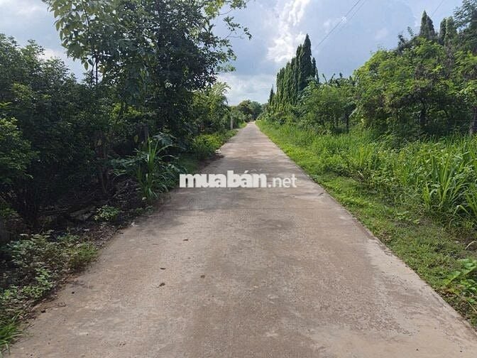 Bán 122m2 Xuân Quế Cẩm Mỹ  củ  , TP Đồng Nai 420tr