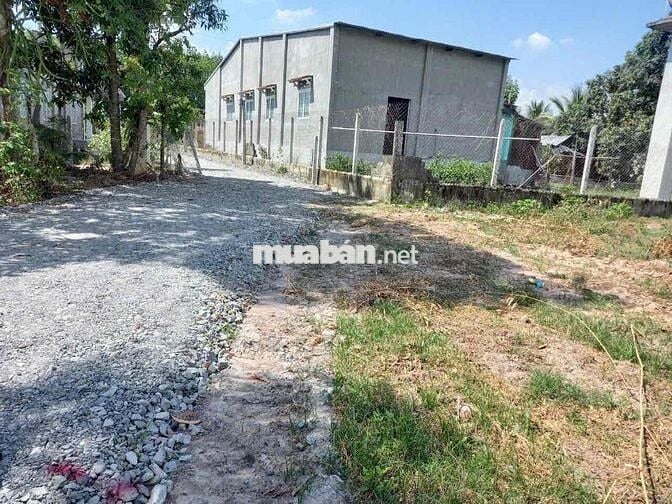 Bán gấp đất thổ cư 150m² sổ riêng Tây Ninh - chỉ 420 triệu