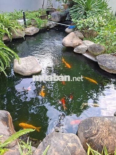 CHO THUÊ BIỆT THỰ 3 TẦNG, NGUYỄN THỊ SÁU, CẨM LỆ