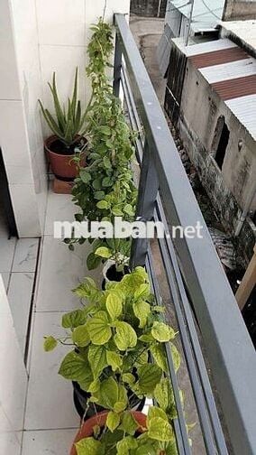 🎉🎉NHÀ BÁN CHÍNH CHỦ - GẦN TRƯỜNG ĐẠI HỌC NGUYỄN TẤT THÀNH