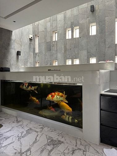 Cho thuê nhà Q2 đầy đủ nội thất trong khu an ninh có bảo vệ