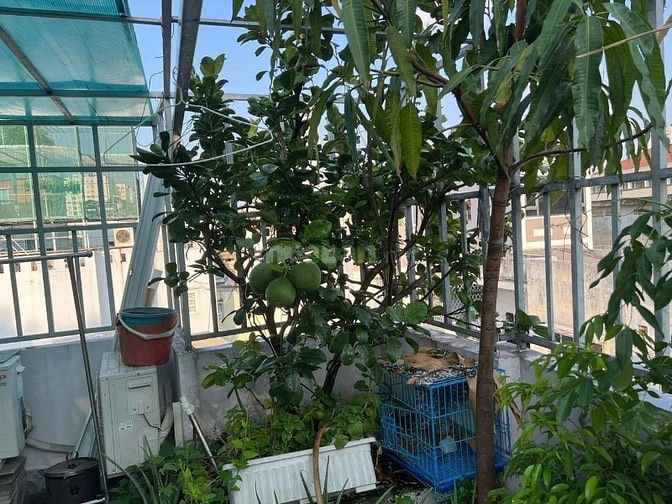 Nhà hẻm 3m gần MT Lê Hồng Phong.3,45mx8,5m.NH 5,9m.Giá 6,65 tỷ .4 tầng