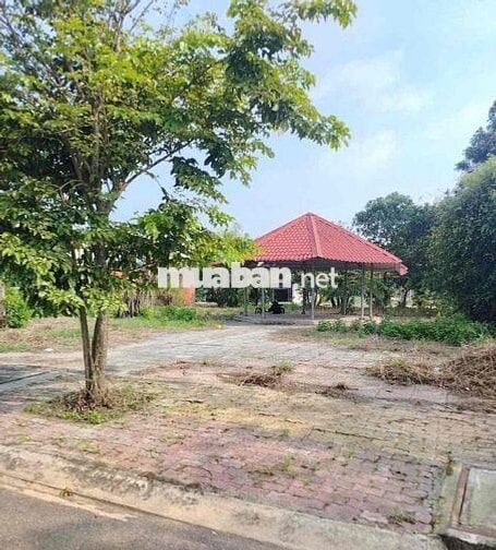 Mở bán dự án Đức Phát 3 Urban Dream Bàu Bàng