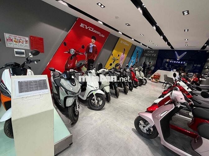Cần tuyển 1 bán hàng, Xe máy điện Vinfast