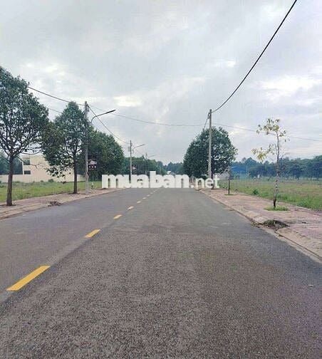 Cơ hội đầu tư sinh lời tại Bình Dương cực hấp dẫn