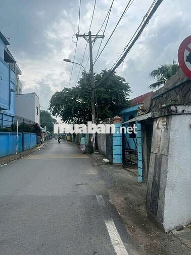 bán đất lớn kinh doanh tại Chợ Hóc Môn