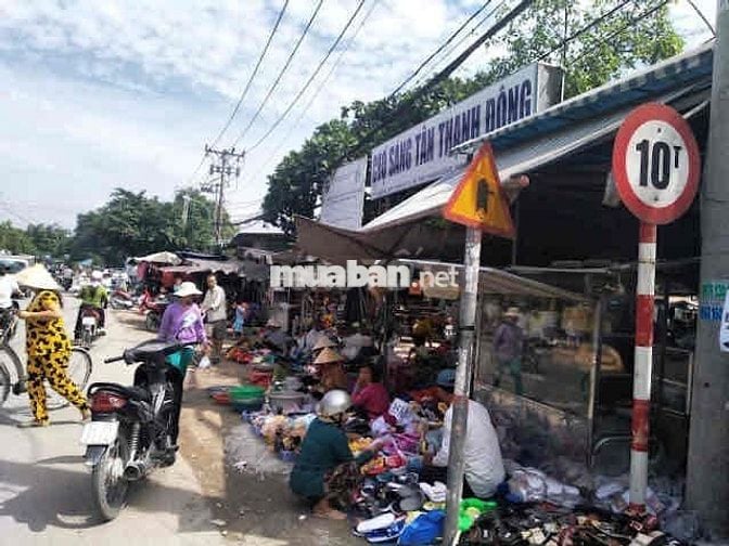 Bán đất đẹp gần chợ Tân Thạnh Đông , hợp đầu tư kinh doanh , SHR