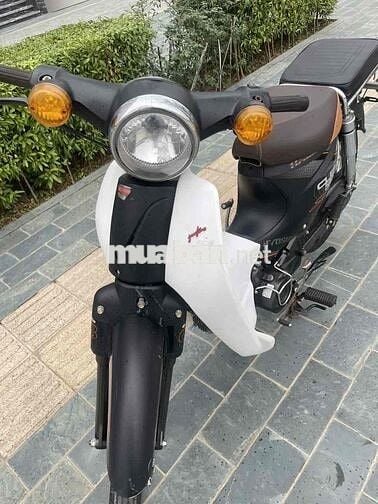 Cần bán Hyosung Cub 50cc Đen trắng siêu mới
