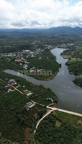 Gần Đến Lãi Bank đành bán Lỗ 1100m2 Ven Đà Lạt Chỉ 308 Triệu