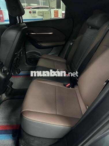 Vinfast VF6 Plus 2024 Mua Pin , free sạc ko GH