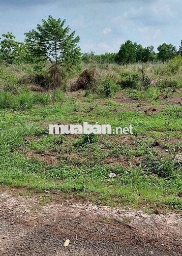 Bán đất tại Nguyễn Thị Minh Khai, 1,2 tỷ, 1150 m2, Bình Phước