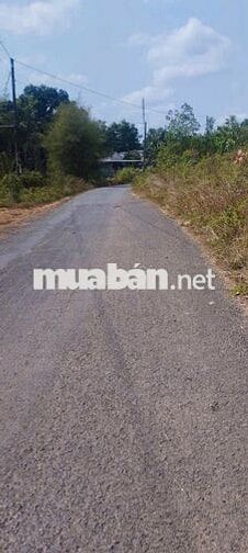 Bán đất tại Nguyễn Thị Minh Khai, 1,2 tỷ, 1150 m2, Bình Phước