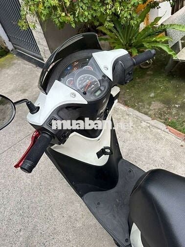 Honda SH 153 2004 Trắng Tự động