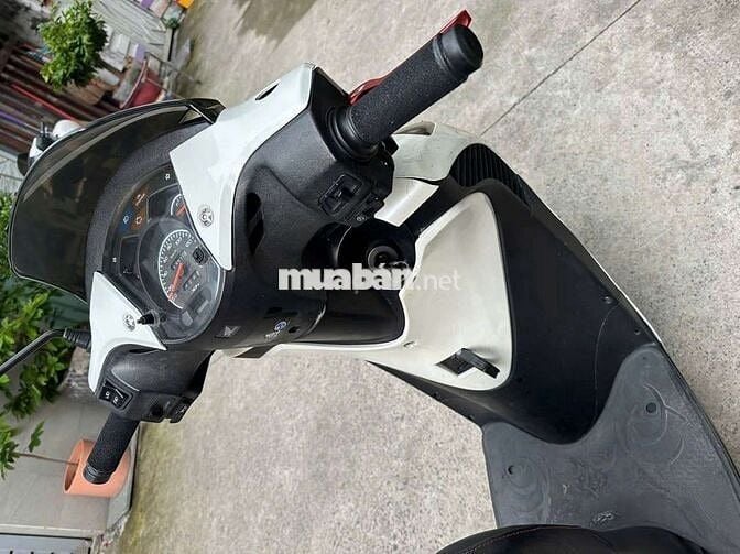 Honda SH 153 2004 Trắng Tự động