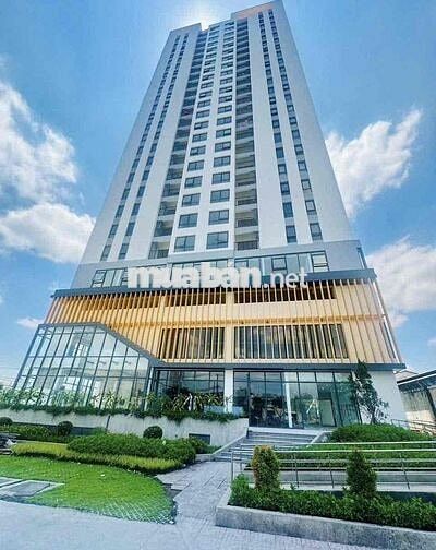cho thuê căn hộ Aurura Residences 1PN, 1 WC full nội thất cao cấp mới