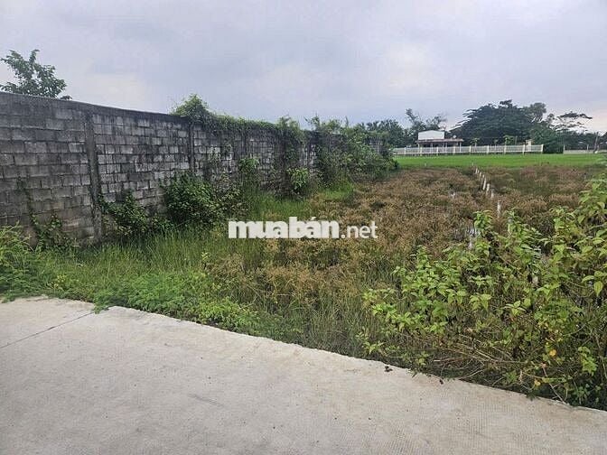 CẦN BÁN GẤP ĐẤT THỔ CƯ 297M² - TẠI HÒA KHÁNH TÂY , LONG AN - GIÁ 2 TỶ 