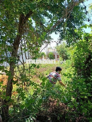 BÁN ĐẤT ĐẸP VỊ TRÍ VÀNG TẠI TỪ TÂM 2 - NINH PHƯỚC - NINH THUẬN