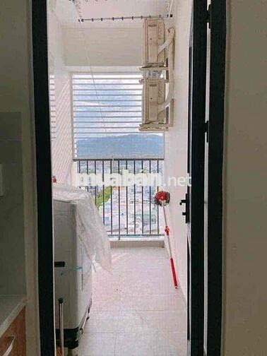 Cho Thuê Căn Hộ CT4 VCN Phước Hải