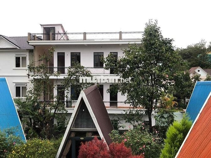 Cho thuê nhà mới xây ngay tại trung tâm phường 9 cũ