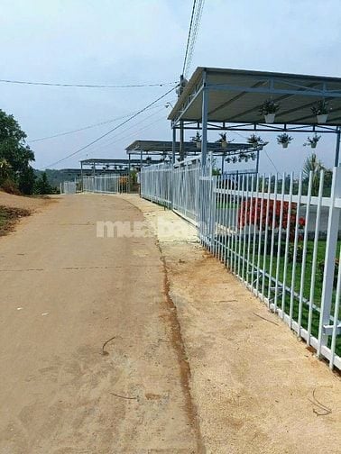 Gần Đến Lãi Bank đành bán Lỗ 1100m2 Ven Đà Lạt Chỉ 308 Triệu