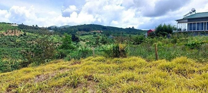 Gần Đến Lãi Bank đành bán Lỗ 1100m2 Ven Đà Lạt Chỉ 308 Triệu