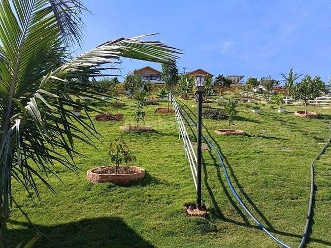 Gần Đến Lãi Bank đành bán Lỗ 1100m2 Ven Đà Lạt Chỉ 308 Triệu
