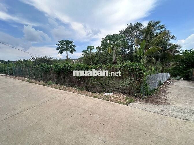 Bán lô đất vườn 1150m2 có qh thổ cư, lô góc 2 mặt tiền bêtông sát QL20