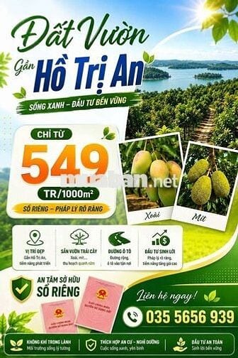 🌿 Đất Vườn Ven Sông La Ngà 1.00m² - Chỉ 549 Triệu, Có Sẵn Vườn Xoài