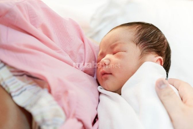 Tuyển người giúp việc và ưu tiên làm lâu dài ít vướng bận GĐ