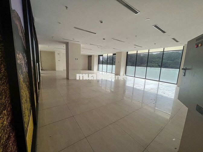 CHO THUÊ MẶT BẰNG KINH DOANH BEA SKY (NGUYỄN XIỂN)