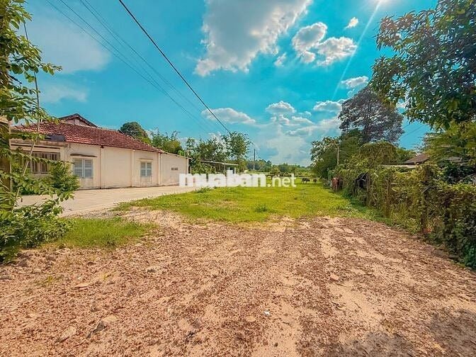 Hàng hiếm Củ Chi – 123m² sổ riêng, giá 530TR, đầu tư lời ngay!
