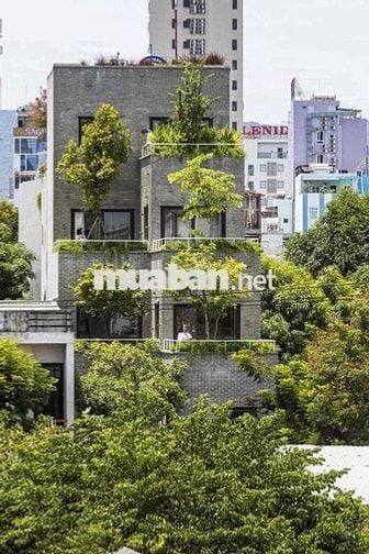 Cho thuê căn hộ 1PN, có ban công, bể sục, cách biển 10p đi bộ