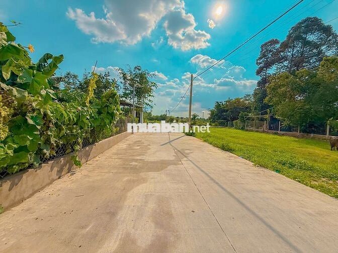 Hàng hiếm Củ Chi – 123m² sổ riêng, giá 530TR, đầu tư lời ngay!