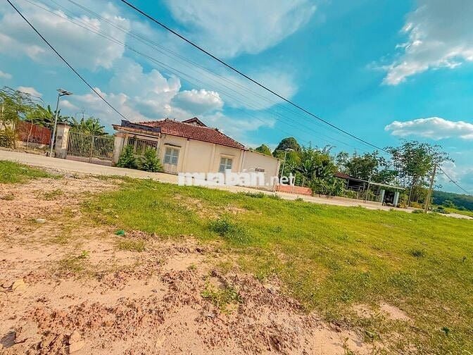 Hàng hiếm Củ Chi – 123m² sổ riêng, giá 530TR, đầu tư lời ngay!