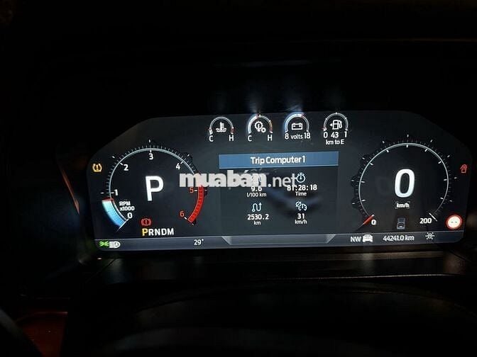 Ford Raptor 2024 Trắng 44240 km
