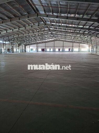 Cho Thuê Mặt Bằng Kinh Doanh Kho 2000m2