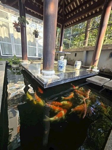 58 tỷ! Bán Biệt thự HIẾM 274m2 Phổ Quang - ngang 10m - Hầm 4 Tầng