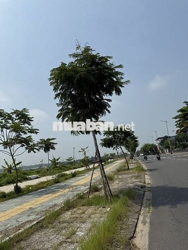 Bán đất 500m2 siêu hiếm ven sông Cẩm Lệ ,cách đường Thăng Long chỉ 20m