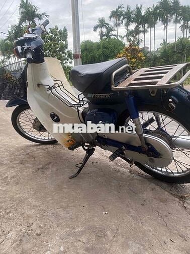 Honda Cub 81 90cc Xanh Trắng