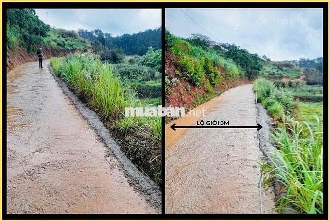 Bán Đất ĐÀ LẠT, xã Xuân Thọ sổ riêng diện tích 248m2 (Thực tế 310m2)