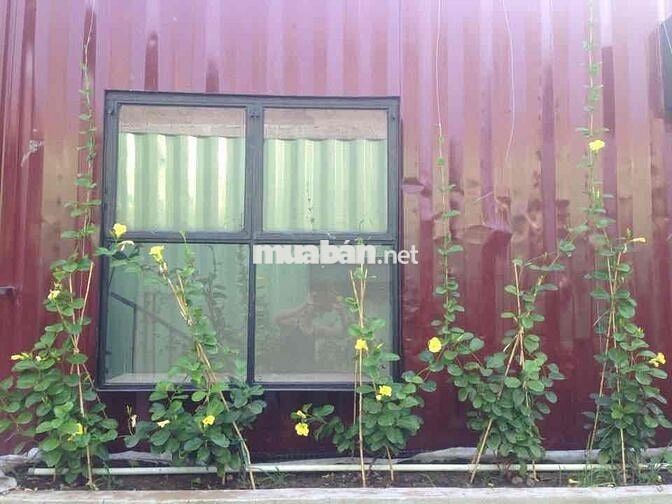 Homestay CHDV 3 triệu mát mẽ bao phí dịch vụ