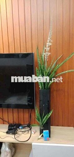 Nhà cho thuê nguyên căn 1 trệt 2 lầu full nội thất