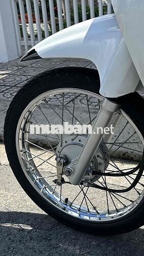 Honda Wave Alpha 110 Trắng