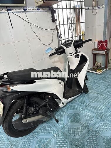 Honda SHVN125 Trắng Zin êm sạch