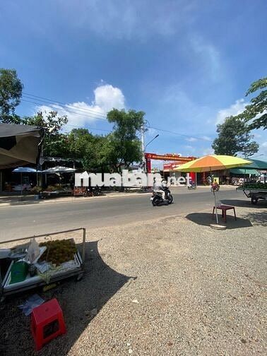 🔥 ĐẤT GẦN KHU CÔNG NGHIỆP – VỪA GIỮ TIỀN, VỪA TẠO THU NHẬP 🔥
