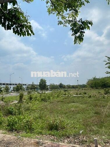 CƠ HỘI ĐẦU TƯ PHÁT TRIỂN TẠI KHU VỰC TP HỒ CHÍ MINH 