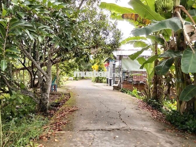 Đất tiêm năng xẻ lộ, làm đường