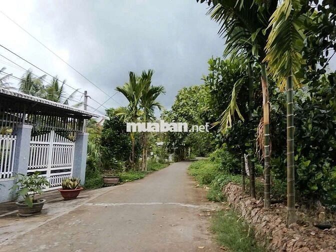 Đất tiêm năng xẻ lộ, làm đường