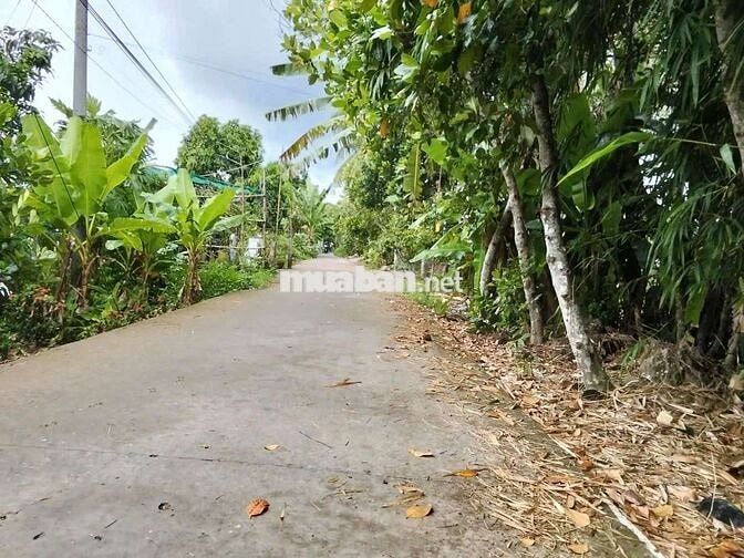 Đất tiêm năng xẻ lộ, làm đường